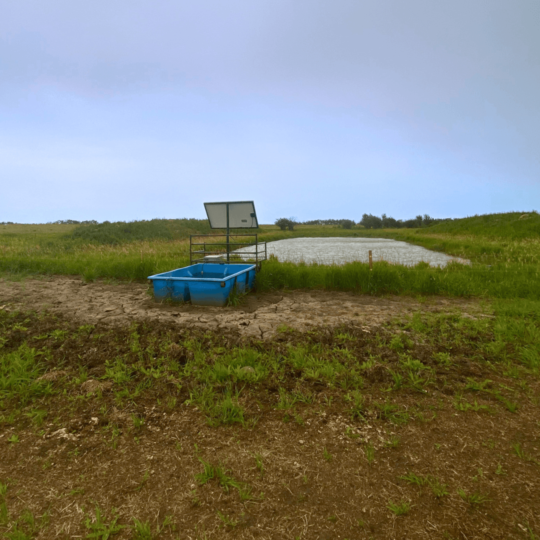 Choosing the Best Remote Solar Watering System for Your Farm